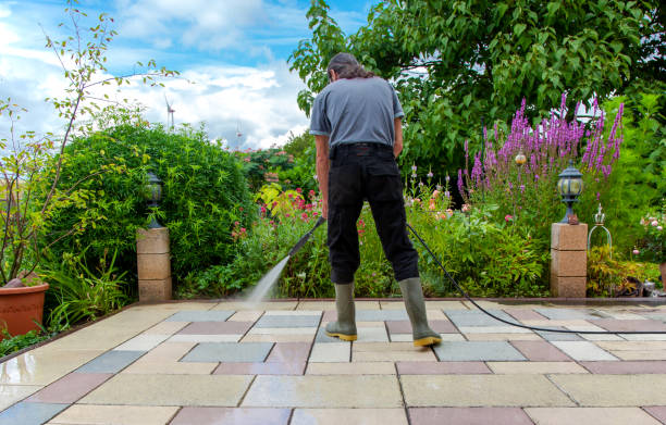 Best Driveway Pressure Washing  in Port Salerno, FL